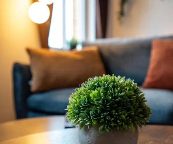 Maremar - Style Im Zentrum - Luxus Boxspringbett - Kueche - Arbeitsplatz - Highspeed Wlan Gera