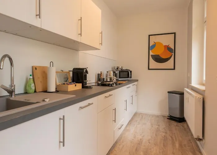 Apartment Maremar - Style Im Zentrum - Luxus Boxspringbett - Kueche - Arbeitsplatz - Highspeed Wlan Gera